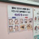 신데렐라뷰티샵 네이버블로그