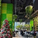 카페슬로우 | 석촌호수 거북이 카페 ? 슬로우어스 잠실 다녀온 후기