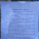 정선중고등학교 후문 옆 | 강원도 정선캠핑장 가네골농원 산 좋고 물 좋은 곳에서 힐링 캠핑