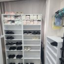 위드펫홈 이미지