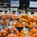 만나청과 이미지