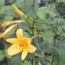 지리산거림계곡 이미지