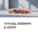 청광수퍼 | 구기자 효능, 피로회복부터 눈 건강까지 한눈에 정리