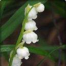 영서축산 이미지