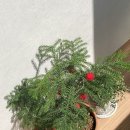 영이농장 이미지