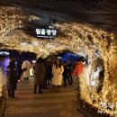 라스코동굴벽화 광명 동굴전 이미지