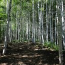 죽파리 경로당 이미지