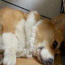 태양커피맥주 이미지