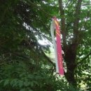 백양산임도 이미지