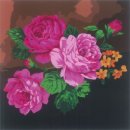 사랑&동행음악회 이미지