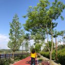 아라뱃길시천자전거대여소 이미지