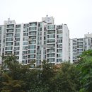 송정동-14 Daum카페