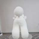 펫플러스아카데미애견미용학원