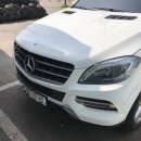 하마모터스 이미지