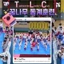 석사태권도장 | 올바른 성장과 자신감을 키워주는 광주태권도장 찾는다면? 봉선동 꿈꾸는석사태권도장이 딱이야!