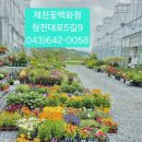 청전대로 이미지