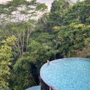 더정글 | [우붓] 올드카 투어 후기 + 더카욘 정글리조트 솔직 리뷰