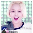 펑키플러스