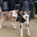 종은농장 이미지