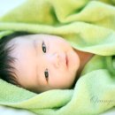 진주 베이비 - 최주성 아기 50일 사진 이미지