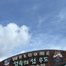 썸타는전기차