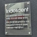 [성수] 독특한 음료가 있는 성수 카페 추천 '이리데센트' 깻잎스무디