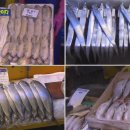 생태세상 이미지