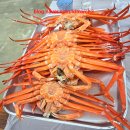 백경수족관 | [주문진 홍게&횟집] 주문진시장 근처 늦게까지 영업하는 가게!!"백경횟집 홍게 무한리필"