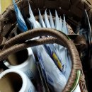 입장백약국 이미지