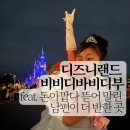 부디자인 | [도쿄 디즈니랜드] 비비디 바비디 부 부티크 이용 후기 ( 인생샷 1만장 )