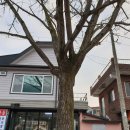 서원2리경로당 이미지