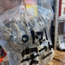 아리 | 제주 기념품 추천 동문시장 아리곳간 오란다 유과 과즐 후기