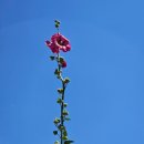 왕초보 여행 영어 이미지