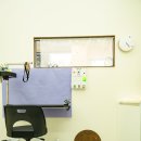 도그리아 이미지