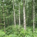 엠제이모터스 이미지