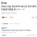 (속보) 돼지이동중지명령 이미지