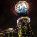 싱가폴 슈퍼트리쇼 이미지