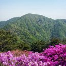 의령-의령-의령-D-1 이미지