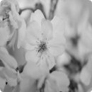 매일헬스케어 이미지