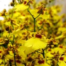 사철농장 이미지