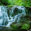 대이리마을회관 이미지