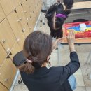 새로운 뷰티 이미지