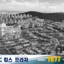 킴스개발주