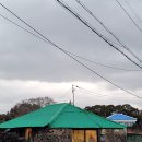 제주미향해장국 이미지