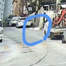 아이케어 동물병원 | 고양이탐정 김광진 후기 대전에서 300미터 넘게 달려간 길고양이 찾은 이야기