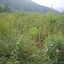 전원부동산중개사무소 이미지