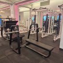 짐스터 독산점 헬스PT 이미지