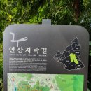 안산자락길 이미지
