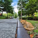 공릉동근린공원 이미지