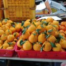 표선오일시장 | 제주도 민속 오일시장/제주 서귀포 표선 5일시장 정보 후기